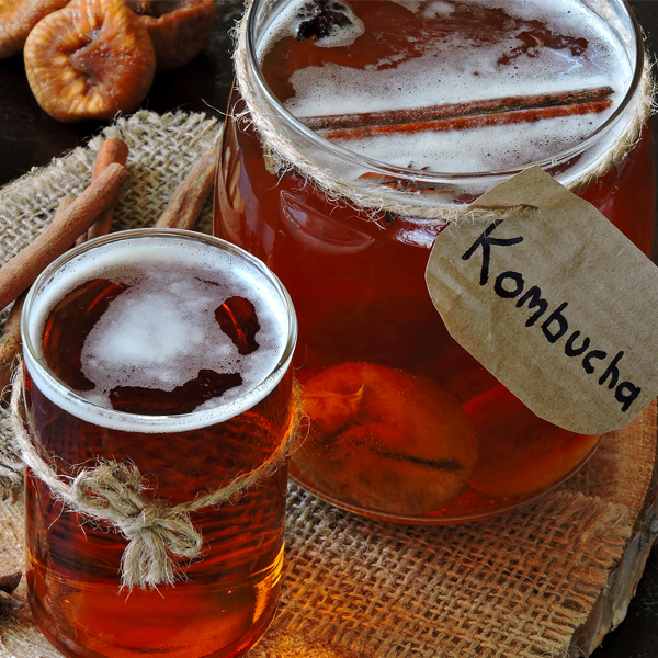 Healthy Kombucha drink